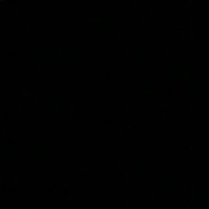 Meet your Posher, Luis